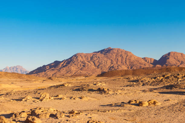 blick auf die arabische wüste und die bergkette rotes meer in ägypten - wüste stock-fotos und bilder