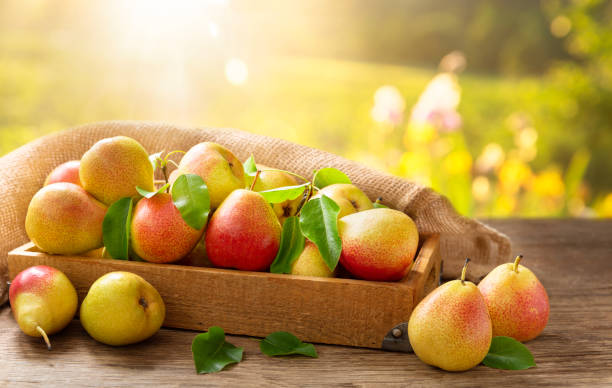 istock fresh pears with leaves in a box on a wooden table 1238088671