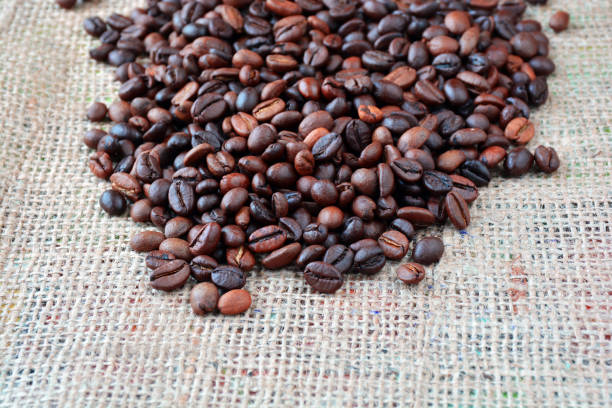 istock Coffee texture. Roasted coffee beans as background wallpaper. 1238099166