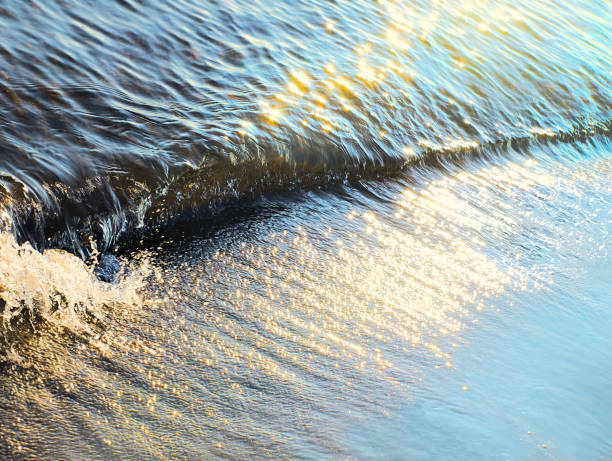 Surf wave at sunset in the rays of the low sun.