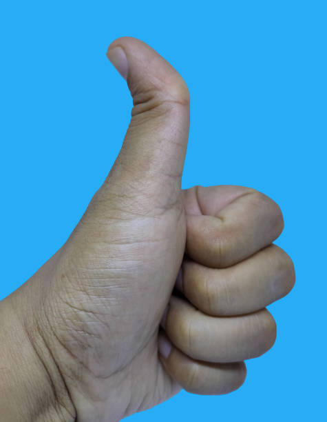 istock Man showing thumbs up gesture against blue background, closeup. 1238158714