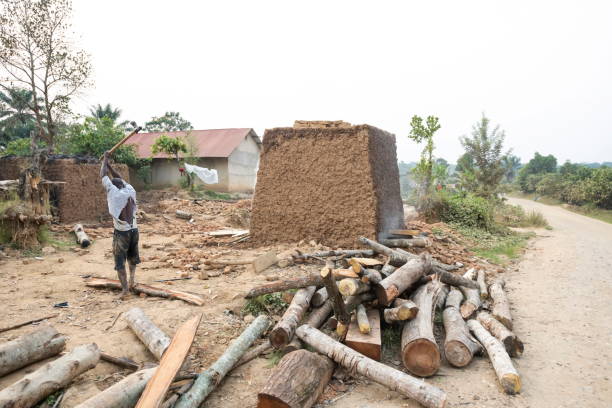 Man prepares firewood for brick kiln in Ntandi, Uganda. stock photo