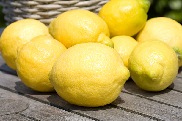istock Lemons and a basket in garden 123819888