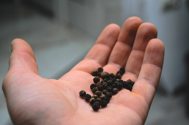 istock Pennies in the hands of the poor 1238202511