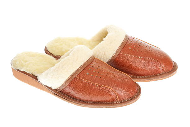 istock brown slippers isolated on a white background. 123821607