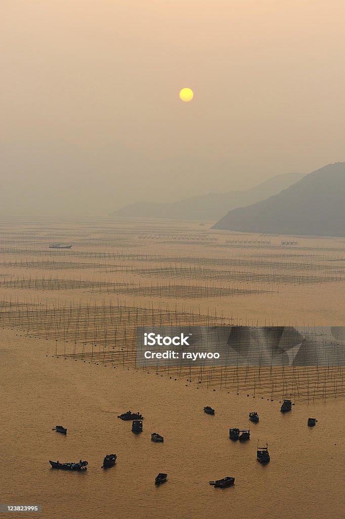 Coucher de soleil sur l'océan - Photo de Agriculture libre de droits