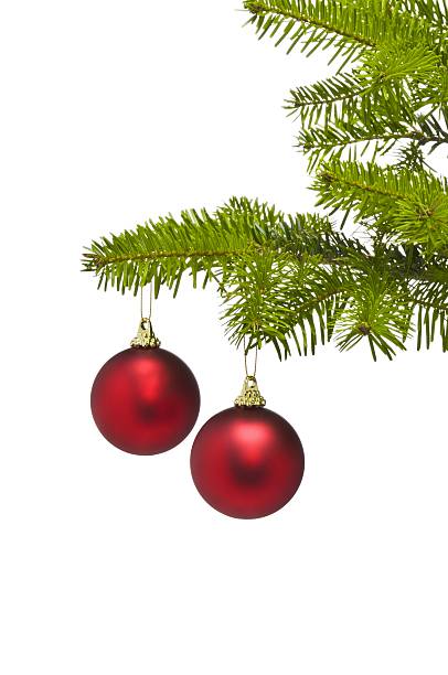 istock Two red decoration balls in Christmas tree branch 123826016