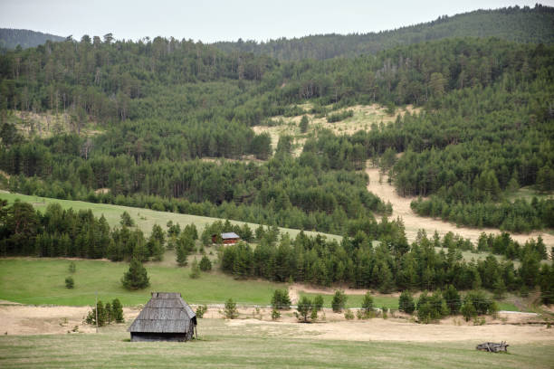 istock Panoramic view of idyllic mountain scenery 1238263840