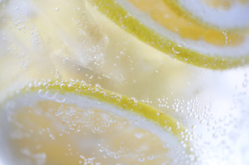 Lemon slices in soda with bubbles