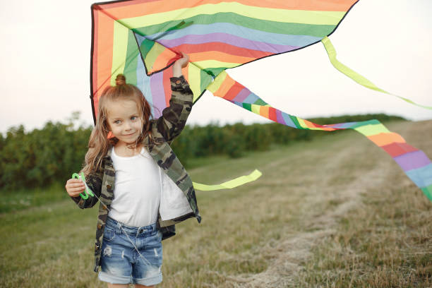 istock Cute little child in a summer field with a Kite 1238297194
