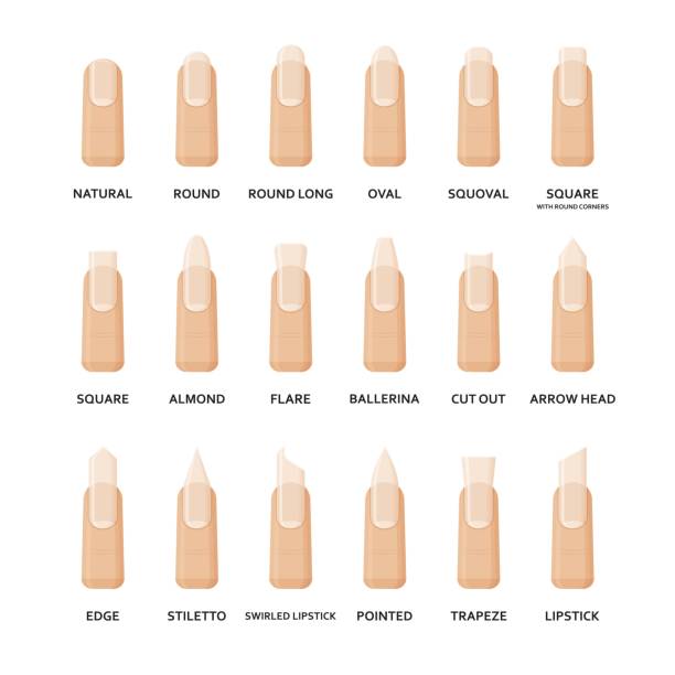 Nail Shape Stock Photos, Pictures & Royalty-Free Images - iStock