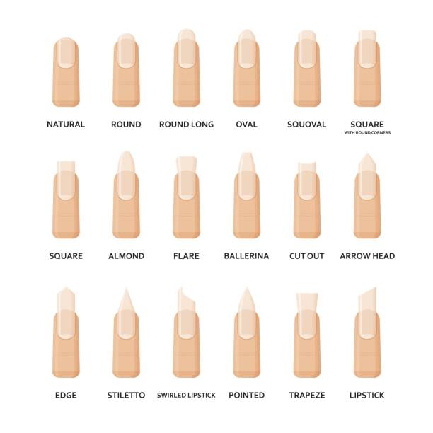 Nail Shape Stock Photos, Pictures & Royalty-Free Images - iStock Nail Shape Stock Photos, Pictures & Royalty-Free Images - iStock