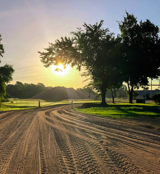 Sun Rising Over a  Rural Road in the South A rising sun over rural Arkansas as seen from a dirt road michael dean shelton stock pictures, royalty-free photos & images