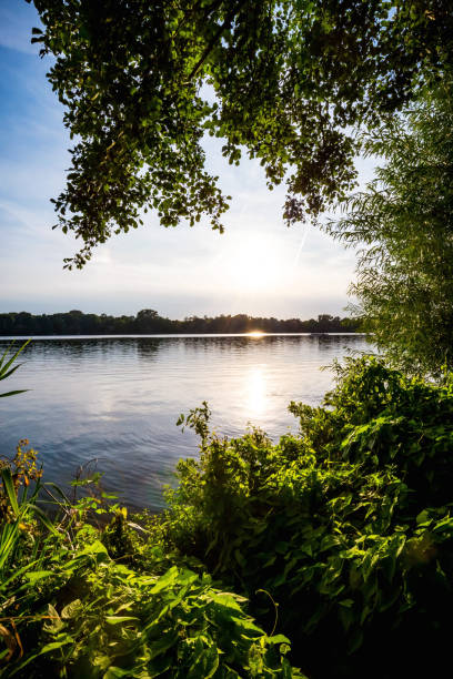 Lake view in the evening