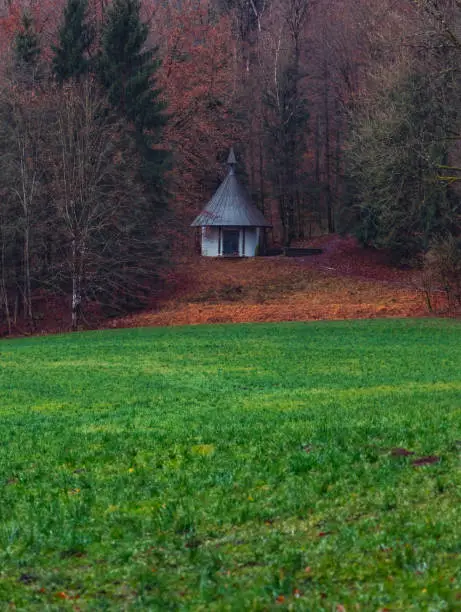 Photo of autumn September landscape wooden cabin on forest edge scenic view with green grass meadow and brown falling leaves country side wilderness rural environment space, vertical format of picture