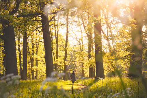 A woman walking on a small path in the woods in sunlight.