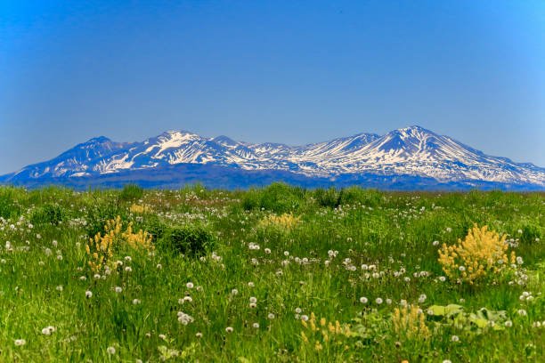 istock Taisetsuzan in early summer 1238380459