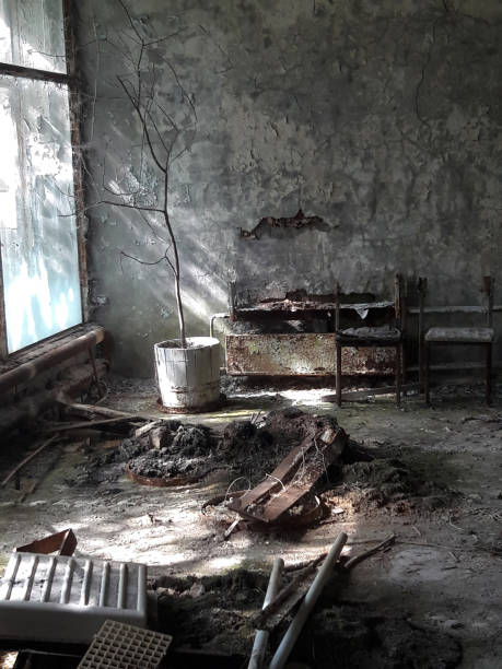 istock Abandoned room in a ruined building with rusty objects and a dead tree near the window 1238440124