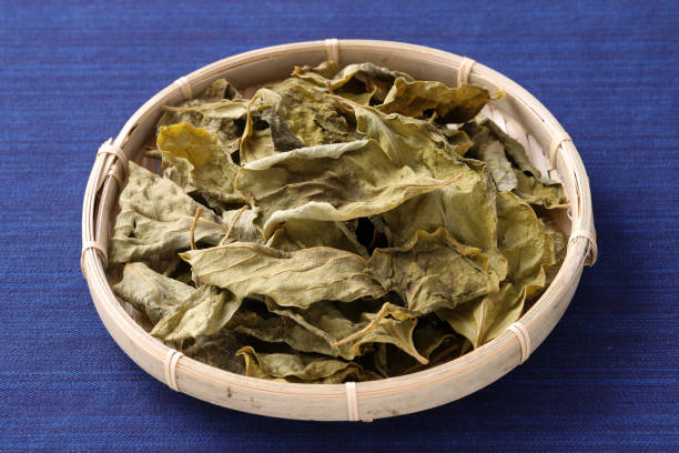 istock dried persimmon leaves, herbal medicine 1238480256