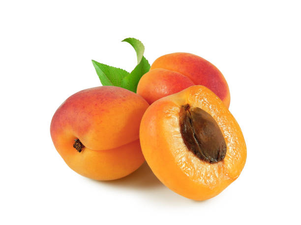 istock Fresh ripe apricots with leaves isolated 1238528504
