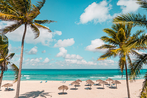 Varadero on a Sunny day. Beautiful vacation. Nice beach with beach chairs, thatched umbrellas and palm trees. luxury beach against the background of the beauty of the sea with coral reefs. retro style
