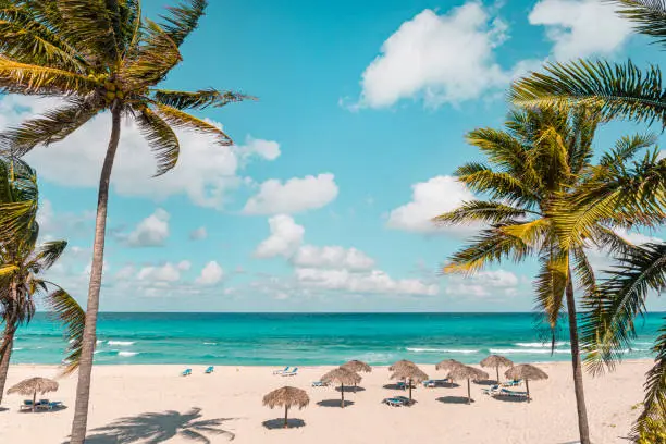 Photo of Varadero on a Sunny day. Beautiful vacation. Nice beach with beach chairs, thatched umbrellas and palm trees. luxury beach against the background of the beauty of the sea with coral reefs. retro style