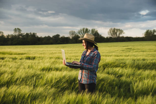 bauernmädchen mit laptop in der mitte eines feldes - farmer rural scene laptop computer stock-fotos und bilder