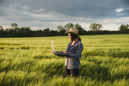 Young and beautiful farmer girl with farmer hat standing in the wheat field with laptop in spring time. She inspect the crops to protect them from diseases. Plant protection and agribusiness concept