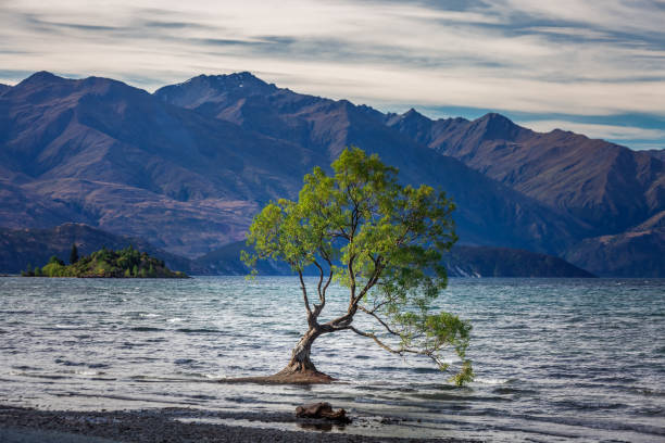 istock New Zealand view 1238593401