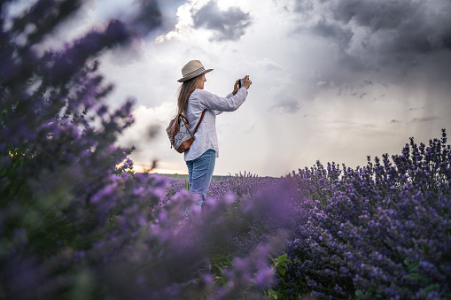 Eco tourism in the lavender. Getting away from it all, explore nature. Young woman photographer dressed in white, taking beautiful pictures in the blooming lavender fields, while on vacation.