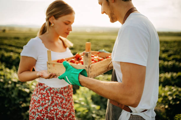 istock Couple having fun in strawberry filed 1238639422