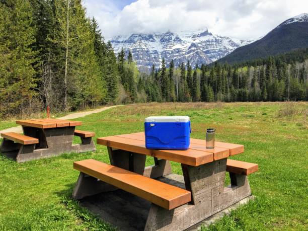 A beautiful view with the mountains in the background of a lovely picnic bench with a cooler and water bottle on top.  People are ready to have a picnic in nature. stock photo