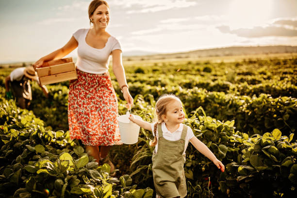 istock Mother having fun with daughter in strawberry field 1238642982