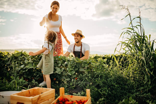 istock Kid enjoying day in nature with parents 1238656826
