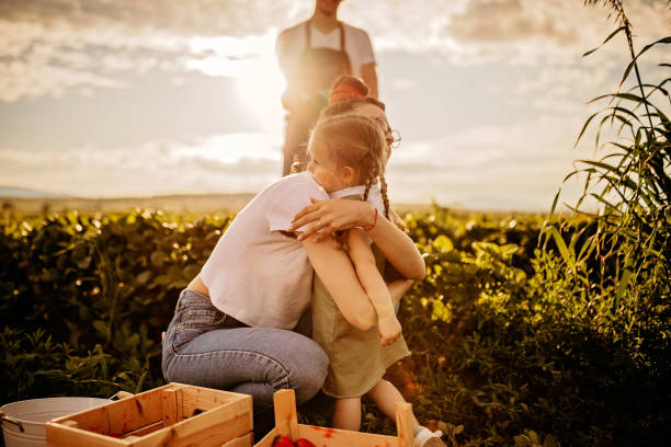 istock We have a good year with strawberries 1238657341