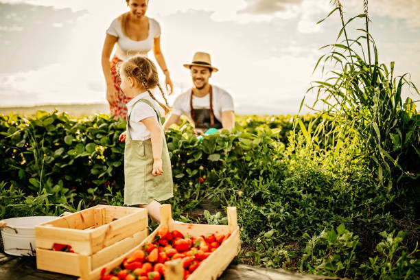 istock Kid enjoying day in nature with parents 1238661464