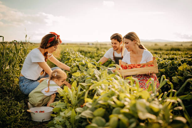 istock Family business 1238671786