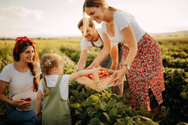istock Family business 1238674857