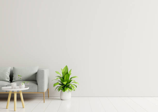 istock Empty living room with sofa, plants and table on empty white wall background. 1238712367