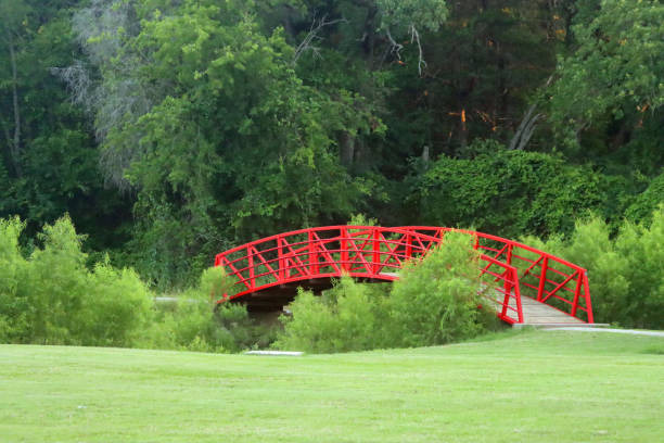 istock Red bridge nestled amongst lush green forest, woodlands 1238769968