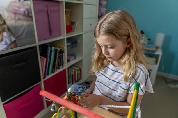 istock Young Girl Playing With Pet Budgerigar 1238882278
