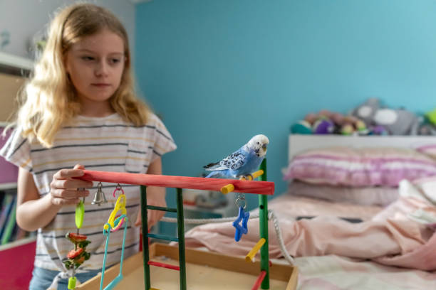 Young Girl Playing With Pet Budgerigar