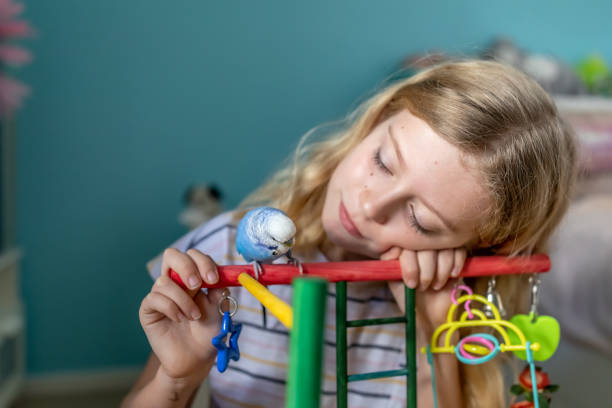 istock Young Girl Playing With Pet Budgerigar 1238884340
