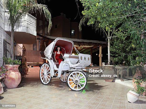 Foto de A Carruagem Da Cinderela e mais fotos de stock de Carruagem - Carruagem, Cavalo - Família do cavalo, Aberto