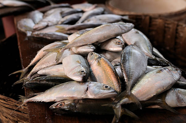 istock Fresh fish in market, Mapusa Goa 123892637