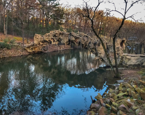 istock Stone Bridge, The Old Mill at T.R. Pugh Memorial Park 1238929466