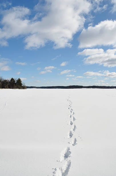 istock Hoof Prints in the Snow 123893791