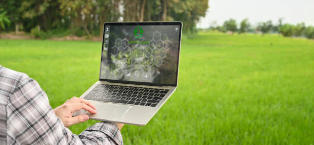 Cropped image of young smart farmer holding a computer laptop with visual icon on screen over rice field as background. Agriculture technology concept. Cropped image of young smart farmer holding a computer laptop with visual icon on screen over rice field as background. Agriculture technology concept. apply fertilizer stock pictures, royalty-free photos & images