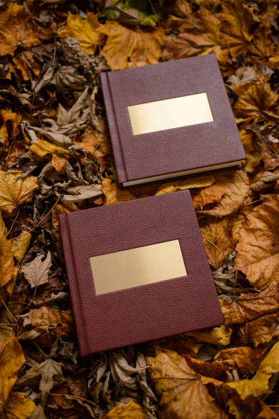 deux livres bruns en cuir avec une plaque d’or sur un fond de feuilles brunes. livre de photos de mariage. place pour le texte. - book book cover old leather photos et images de collection