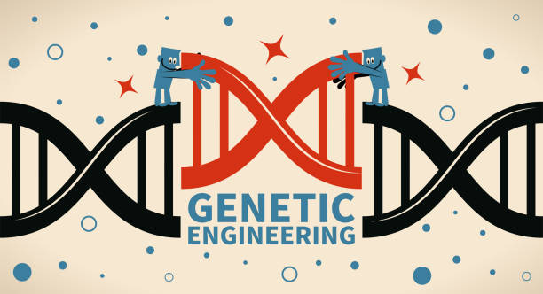 ilustrações, clipart, desenhos animados e ícones de engenharia genética, conceito de manipulação de gmo e gene - scientific experiment scientist research small